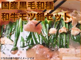 【ギフト対応】北海道白老産　黒毛和種　モツ鍋セット