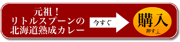 リトルスプーンの北海道熟成カレー